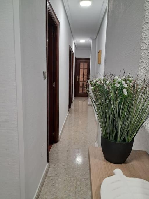 Alojamiento Comercio. Jaén Exteriér fotografie